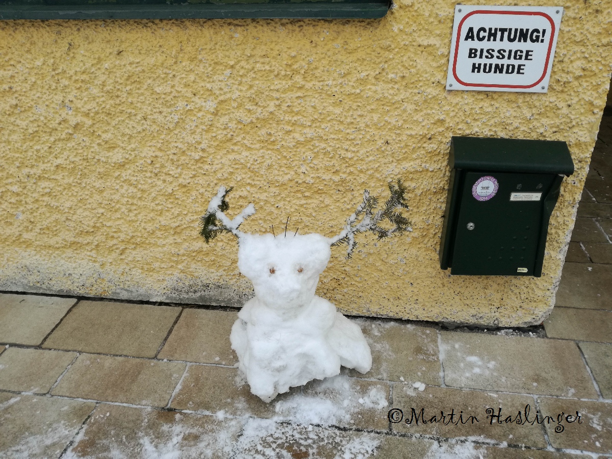 Florryporrie am nächsten Tag