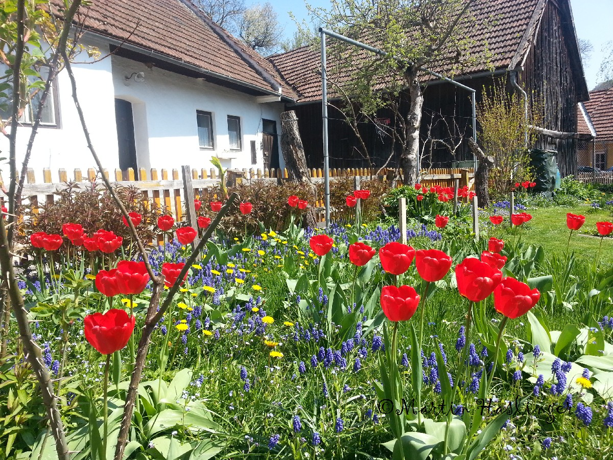 Altes Haus