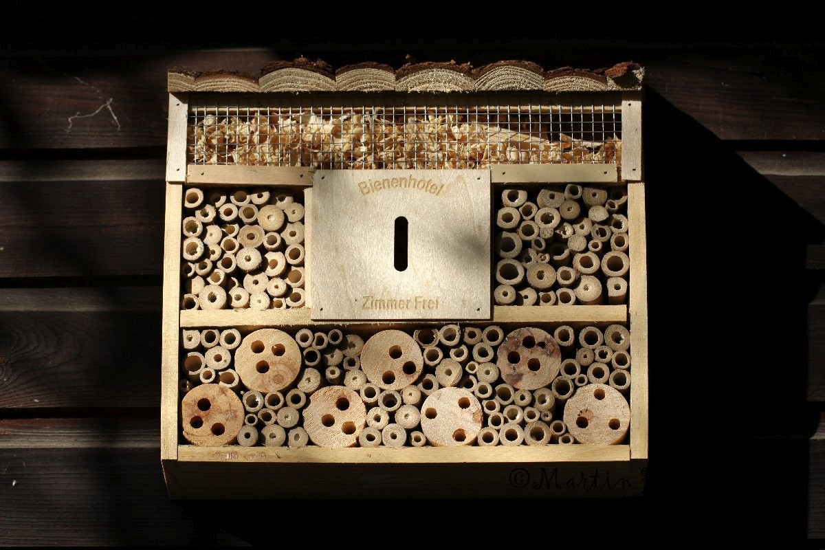 Insektenhaus