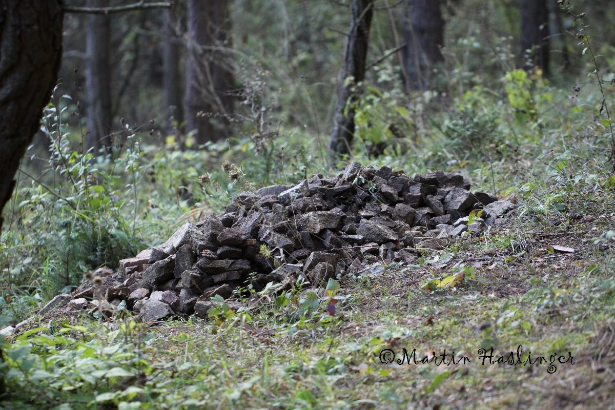 Mittlerer Steinhaufen