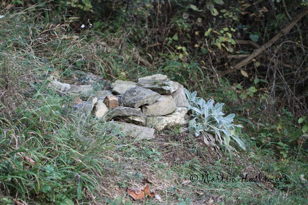 Kleiner Steinhaufen