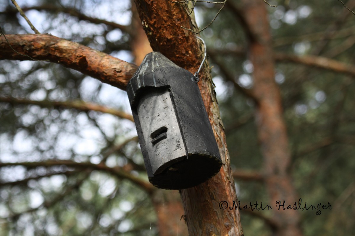 Schwegler Fledermaushaus