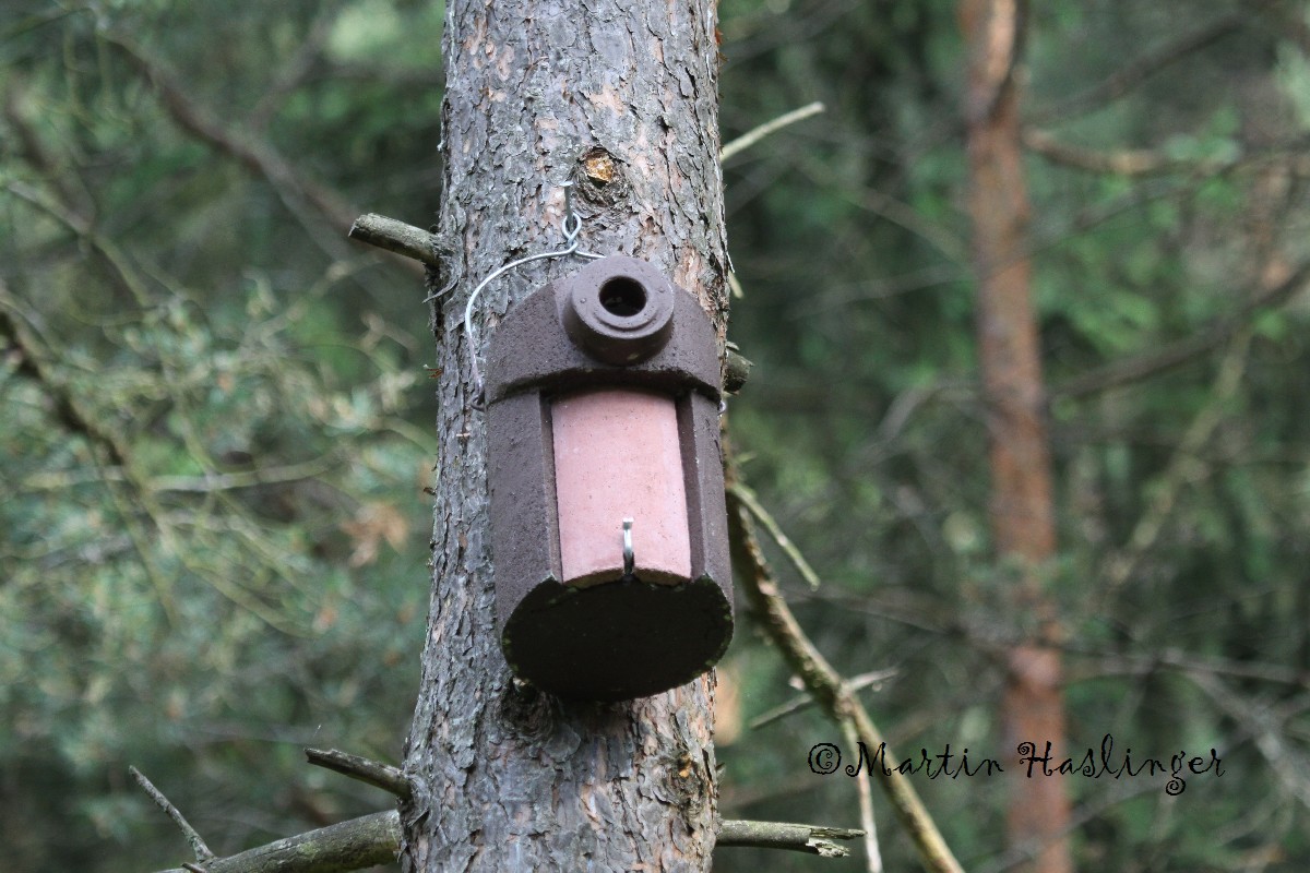 Schwegler Vogelhaus