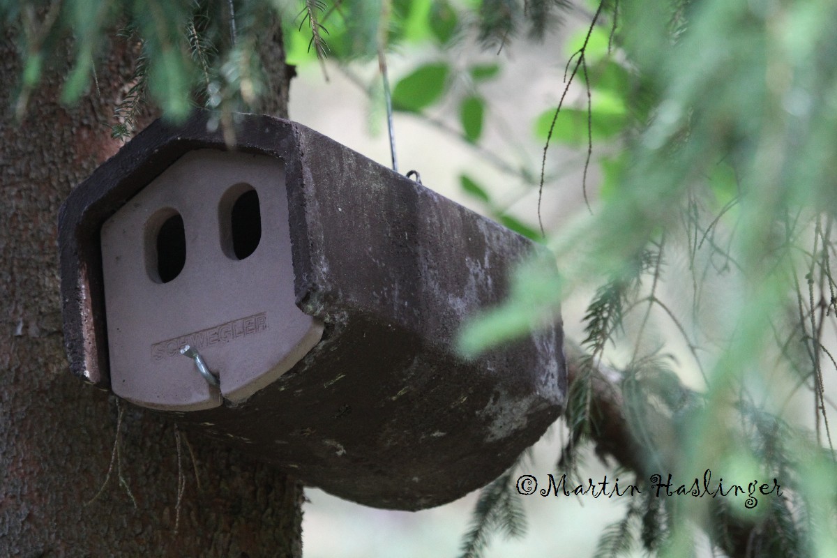 Schwegler Vogelhaus