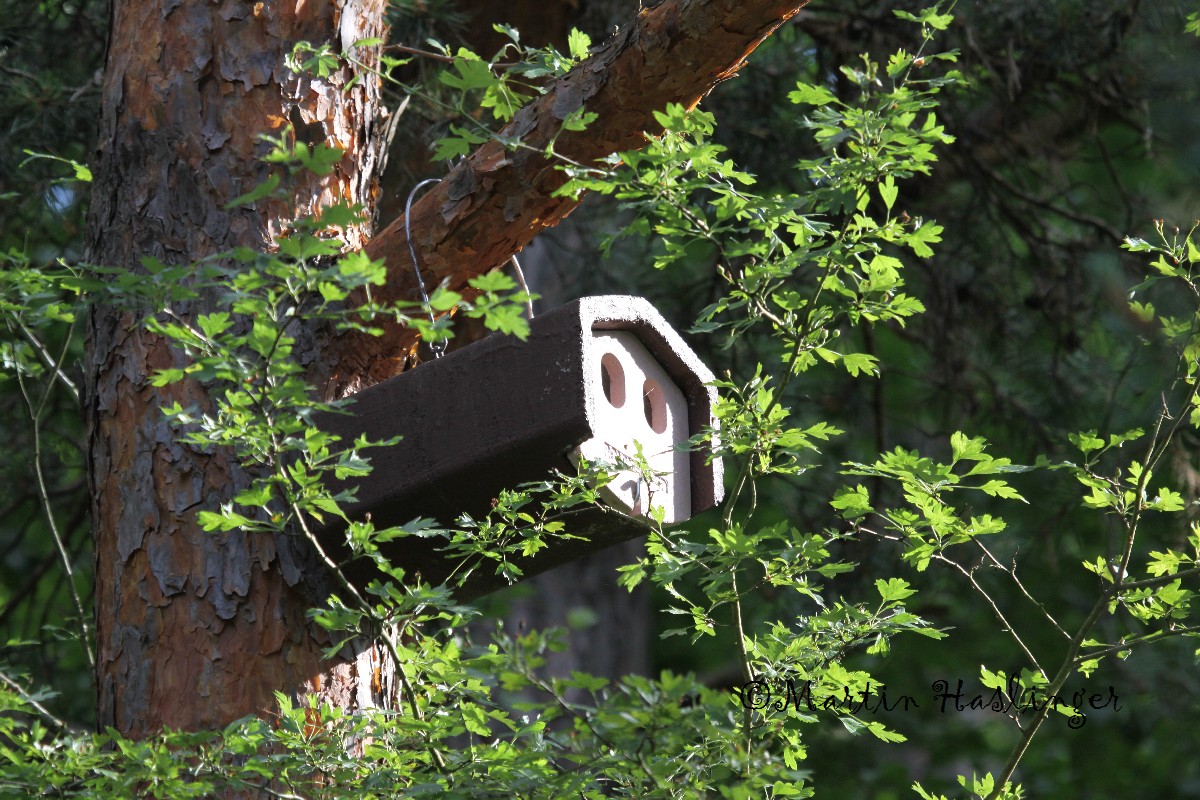 Schwegler Vogelhaus