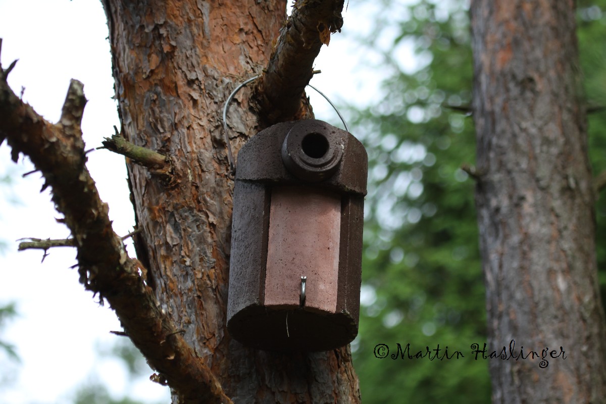 Schwegler Vogelhaus