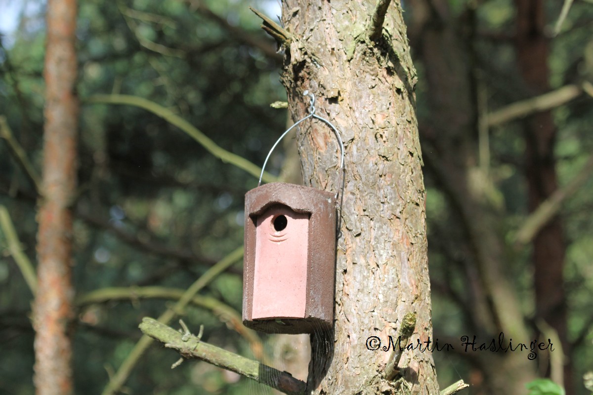 Schwegler Vogelhaus