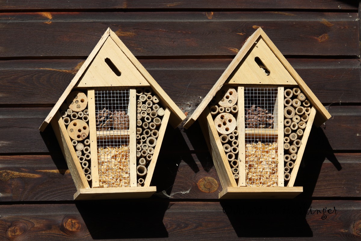 Zwillingsinsektenhaus